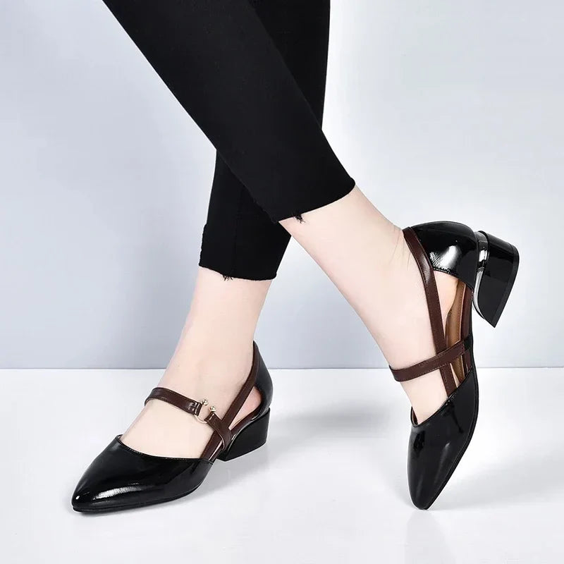 Classy Pointed Toe Shoes